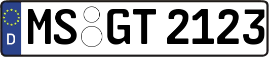 MS-GT2123