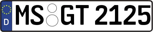 MS-GT2125