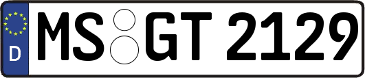 MS-GT2129
