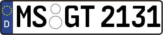 MS-GT2131