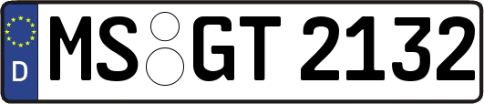 MS-GT2132