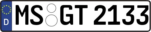 MS-GT2133