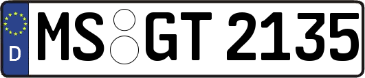 MS-GT2135