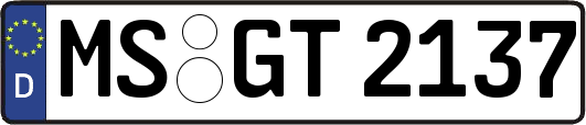 MS-GT2137