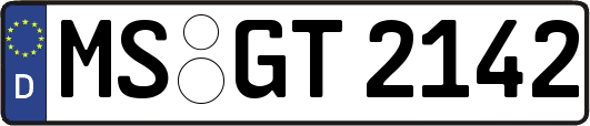 MS-GT2142