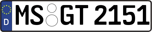 MS-GT2151