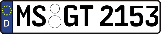 MS-GT2153