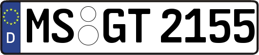 MS-GT2155