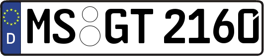 MS-GT2160