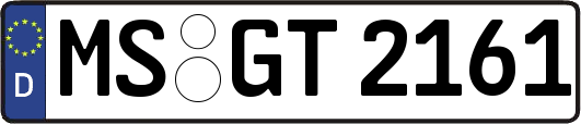 MS-GT2161
