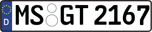MS-GT2167