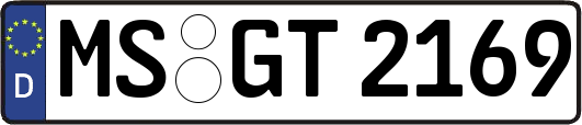 MS-GT2169
