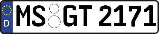 MS-GT2171