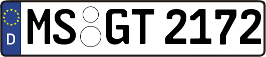 MS-GT2172