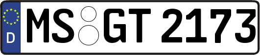 MS-GT2173