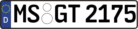 MS-GT2175