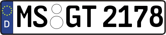 MS-GT2178