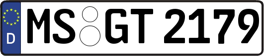 MS-GT2179