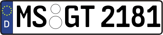 MS-GT2181