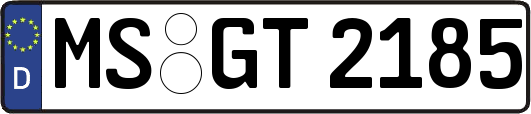MS-GT2185