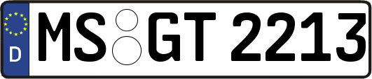 MS-GT2213