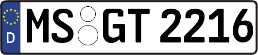 MS-GT2216