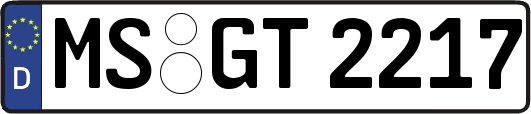 MS-GT2217