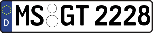 MS-GT2228