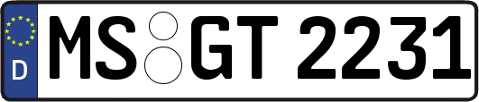 MS-GT2231