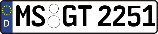 MS-GT2251