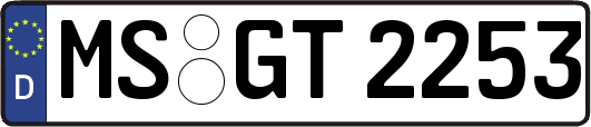 MS-GT2253