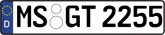 MS-GT2255