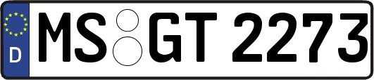 MS-GT2273