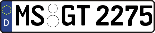 MS-GT2275