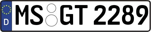 MS-GT2289