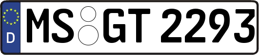 MS-GT2293