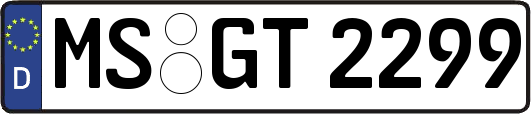 MS-GT2299