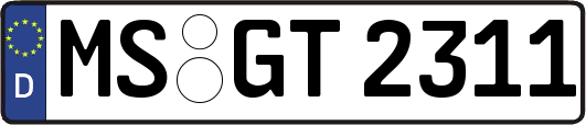 MS-GT2311