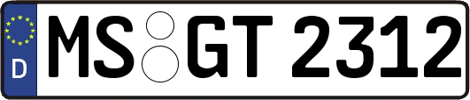 MS-GT2312