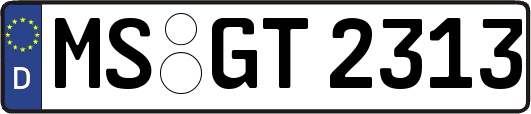 MS-GT2313