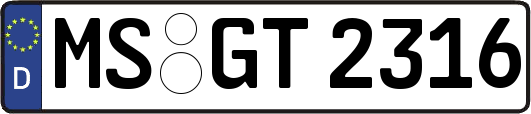 MS-GT2316