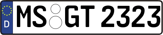 MS-GT2323