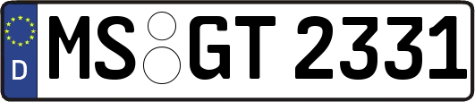 MS-GT2331