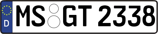 MS-GT2338