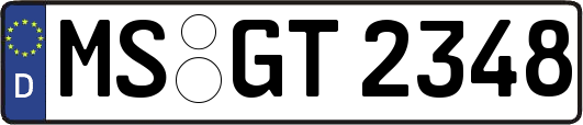 MS-GT2348