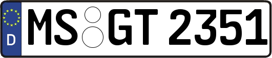 MS-GT2351