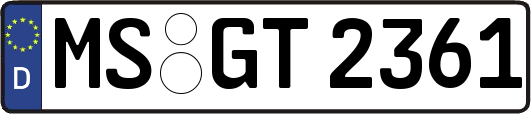 MS-GT2361