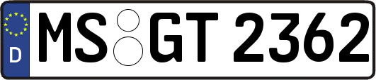 MS-GT2362