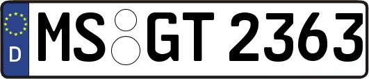MS-GT2363