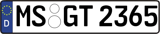 MS-GT2365